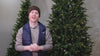 6.5ft Premium Slim Pine Prelit Artificial Christmas Tree