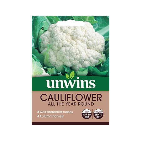 Cauliflower All The Year Round - Joesgardencentre