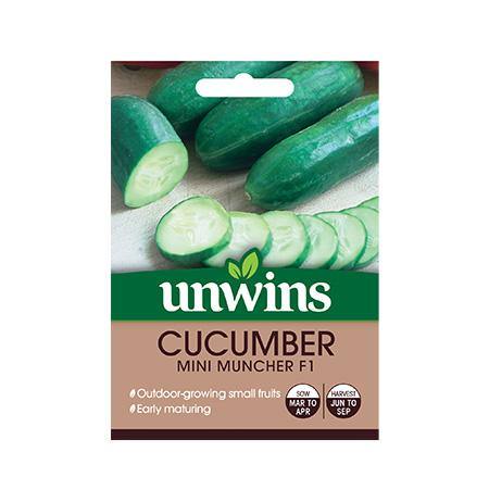 Cucumber (Mini) Mini Munch F1 - Joesgardencentre