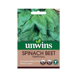 Spinach Beet Perpetual - Joesgardencentre